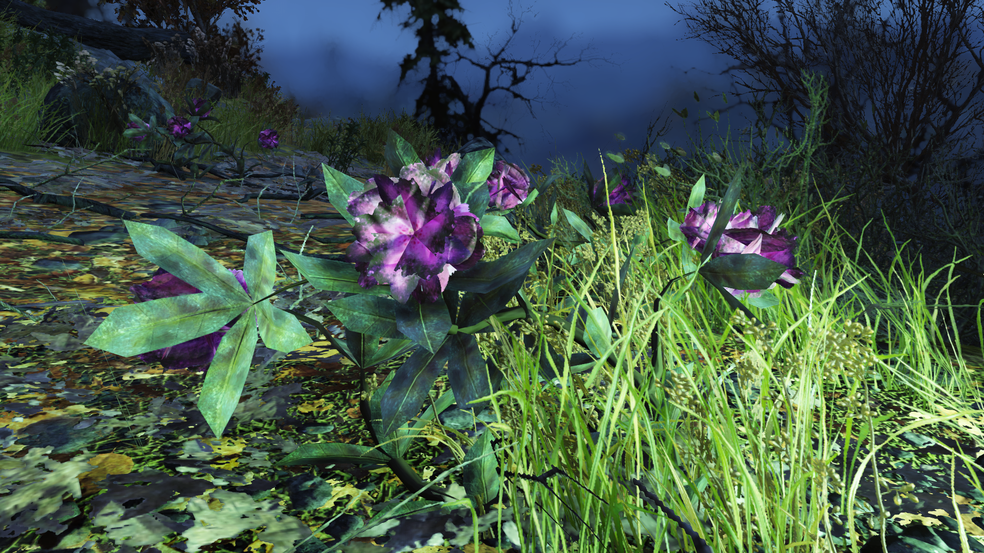 Beauty Amongst Decay 4